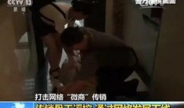 恩施胖子爆料案件视频,揭秘背后惊人真相