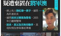 蔡天凤前任爆料视频播放,揭秘背后惊人真相