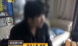 内鬼爆料富人被抓视频大全,富人被抓视频大盘点