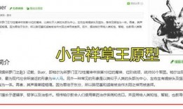 草国须弥爆料解析最新版,最新版游戏内容深度解析