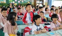 青岛小学生爆料案件最新,揭开校园安全隐秘面纱