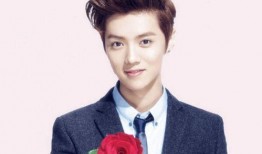 鹿晗少爷爆料是真的吗视频,鹿晗少爷爆料视频真实性揭秘