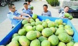 莒县网红吃瓜群微信,揭秘微信朋友圈里的热门话题与趣味生活