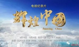 辉煌中国在线观看,见证国家发展壮丽篇章