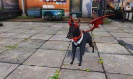 明日之后下一期时装爆料最新