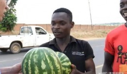 吃瓜的娱乐号是什么,吃瓜群众热议的娱乐号背后的故事