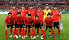 韩国世界杯爆料视频回放,内幕细节与惊人真相