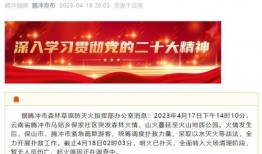 保山最新爆料,揭秘神秘事件背后的真相