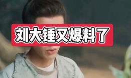 刘大锤爆料薛小婉视频,揭秘背后惊人内幕