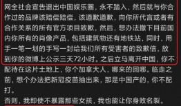 今日爆料网红