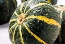 洛杉矶网红吃瓜视频大全,揭秘网红圈那些事儿