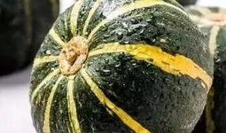 洛杉矶网红吃瓜视频大全,揭秘网红圈那些事儿