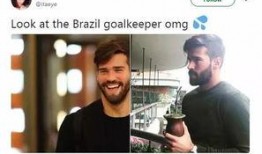 巴西老哥最新爆料新闻视频,最新爆料新闻视频深度解析