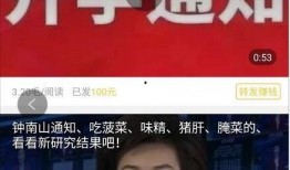 小麦资讯爆料视频,小麦市场动态深度解析