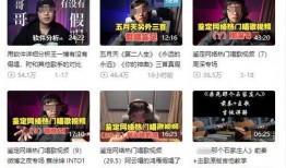 龙岗爆料新闻事件视频曝光,视频曝光惊人事件，真相令人震惊