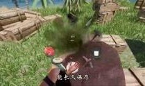 孤岛求生爆料视频大全集,揭秘生存挑战全纪录