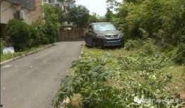 竹林小区新闻爆料事件,揭秘社区热点事件背后的真相