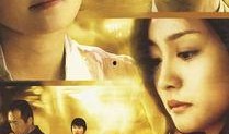 五十玫瑰在线观看,浪漫邂逅，爱情绽放