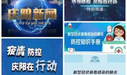 仁化媒体爆料新闻事件视频,新闻事件视频背后的真相