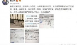 娱乐圈合同爆料