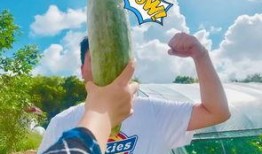 七夕网红吃瓜视频,甜蜜背后隐藏的瓜界风云