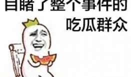 娱乐圈吃瓜群众的简介