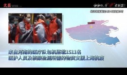 辽宁援沪爆料视频播放时间,揭秘视频播放背后的感人瞬间