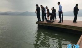 博罗小女孩跳江最新爆料,细节披露，真相逐渐浮出水面