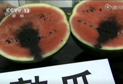 七夕网红吃瓜视频,甜蜜背后隐藏的瓜界风云