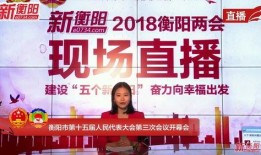 衡阳最新爆料事件新闻,事件真相揭开，震惊公众！
