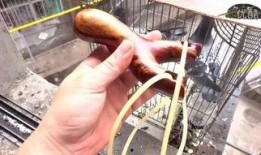 弹弓视频在线观看,在线观看精彩对决瞬间