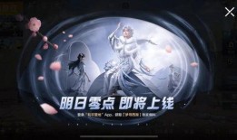 吃鸡抽奖爆料视频最新,神秘大奖等你来拿，揭秘最新活动详情！