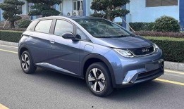 比亚迪海豚爆料新闻最新