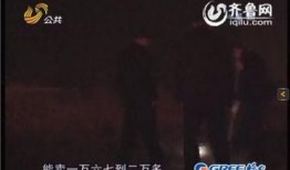 大鹰哥爆料截图视频下载,揭秘视频下载背后的秘密
