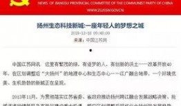 新城最新爆料新闻报道,揭秘事件背后惊人真相