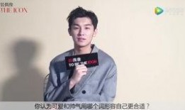 杨旭哥哥爆料视频大全下载,揭秘幕后真相与精彩瞬间