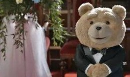 天涯爆料泰迪照片视频,泰迪萌态照片视频走红网络