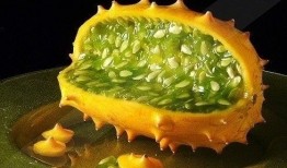 非洲网红吃瓜图片视频,趣味视频走红网络