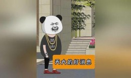 爆料沙雕动画视频大全,爆笑集结！沙雕动画视频大全盘点