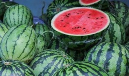 非洲网红吃瓜图片视频,趣味视频走红网络