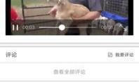 小程序爆料好笑视频,笑点满满！小程序最新爆笑视频大盘点