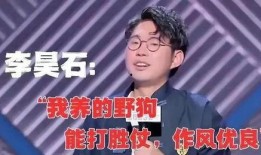 李昊石脱口秀爆料者视频,幕后真相曝光