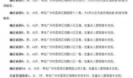 广州兄弟俩爆料新闻事件,揭秘背后惊人真相