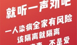 关爱老人爆料视频下载,揭秘网络爆料视频背后的温情故事