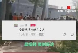 河南网友最新爆料,揭秘某神秘事件真相！