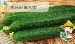 66吃瓜网-免费吃瓜,畅享免费吃瓜盛宴，揭秘娱乐圈幕后故事