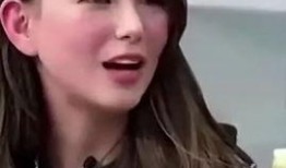 雯姐深夜爆料视频大全集,视频大全集深度揭秘