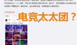 绿毛怼爆料者完整视频,完整视频揭露真相全貌