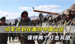印度国防部最新爆料,揭秘军事行动内幕与战略动向