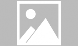 墨羽狼最新爆料65版本